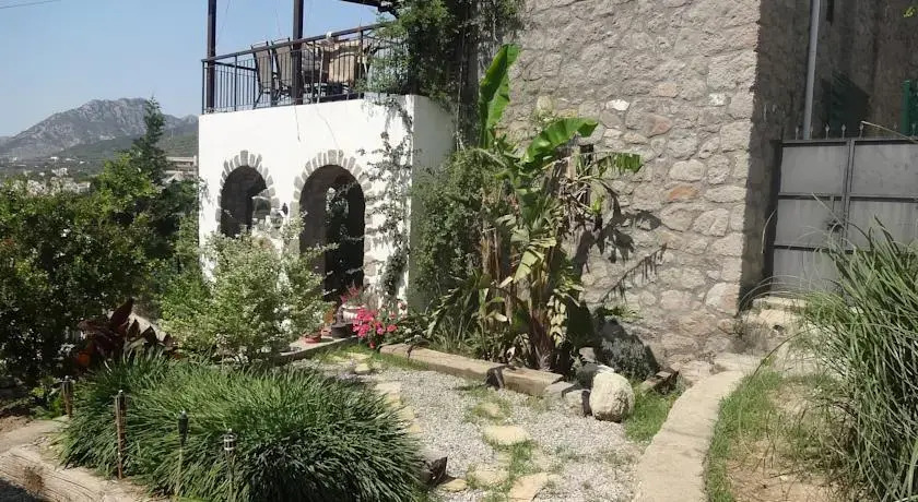 Ortakent Tasev