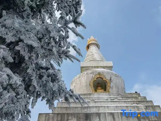 Lushan Tongyuan Yi Inn Yunjing Hotel (Lushan Scenic Area South Gate Branch)