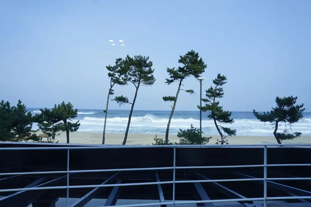 Hotel Juno