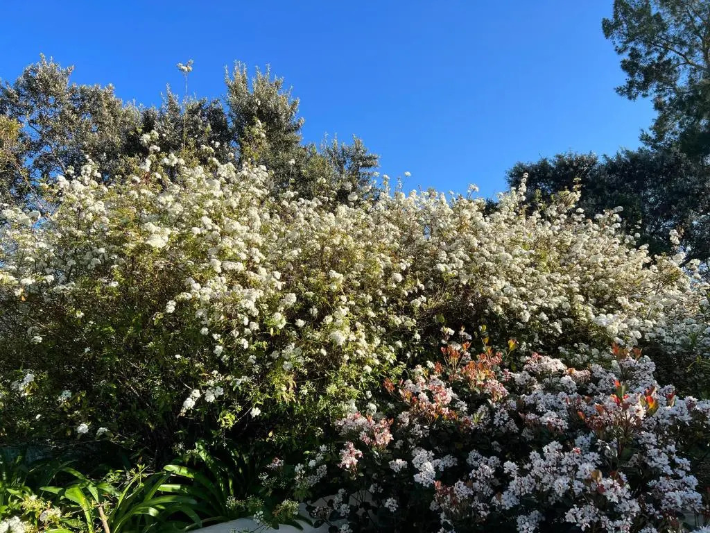 Greenhill Farm Cape Dutch Cottage Plettenberg Bay - 1 Bedroom Private Cottage