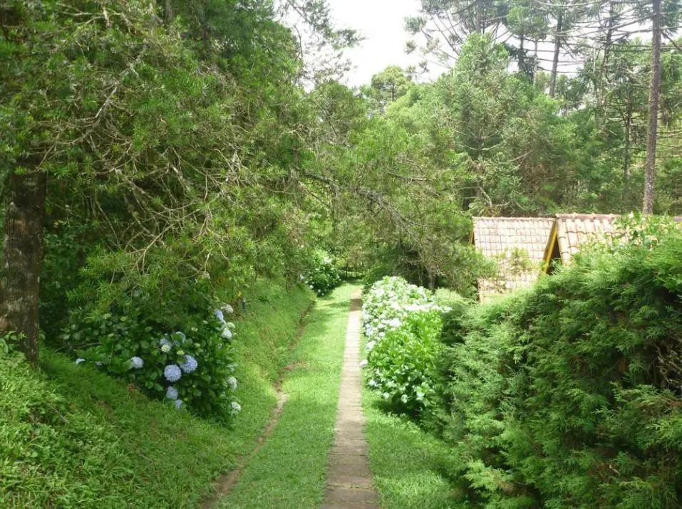 Pousada Passaredo
