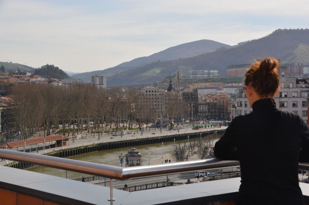 Отель Bilbao Plaza