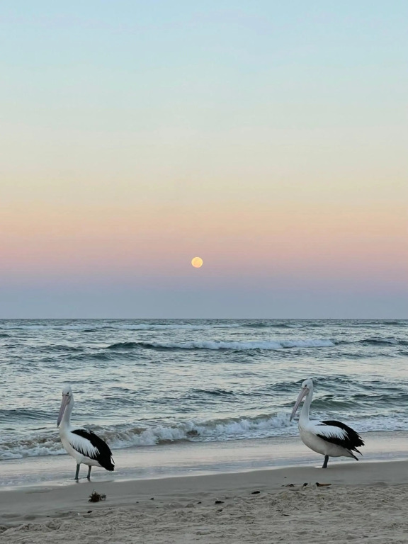 Wintersview 9 - Lennox Head