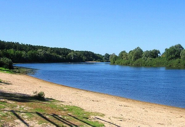 Chenki, Gomel'skaja oblast'