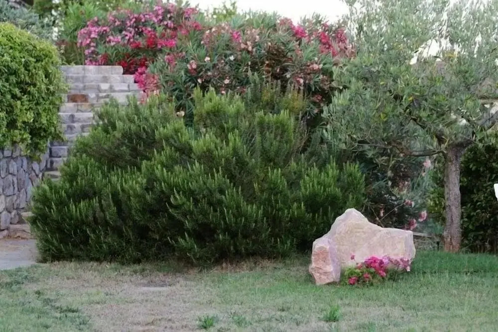 Ecoresort Casa Degli Ulivi
