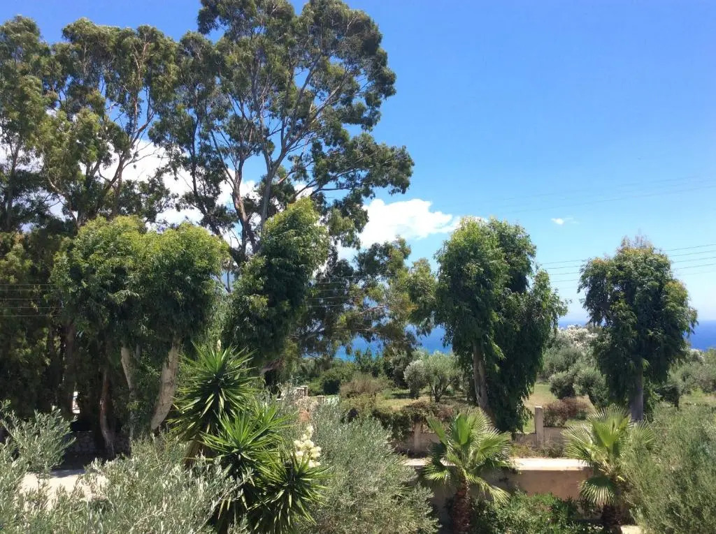Kefalonia apartments - 2 bedroom apartment in orchard, cute veranda, ground floor