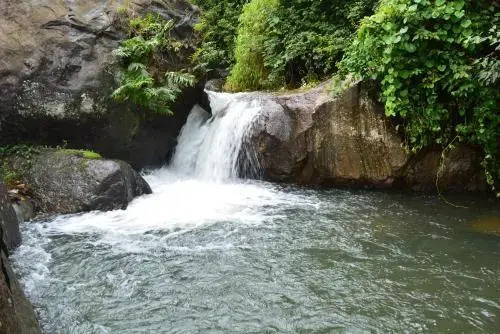 Stream Garden Mountain Resort
