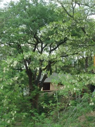 Prehistoric Lodge