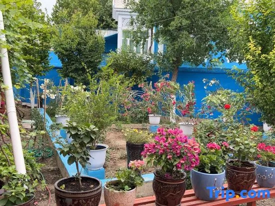 Cunye Homestay