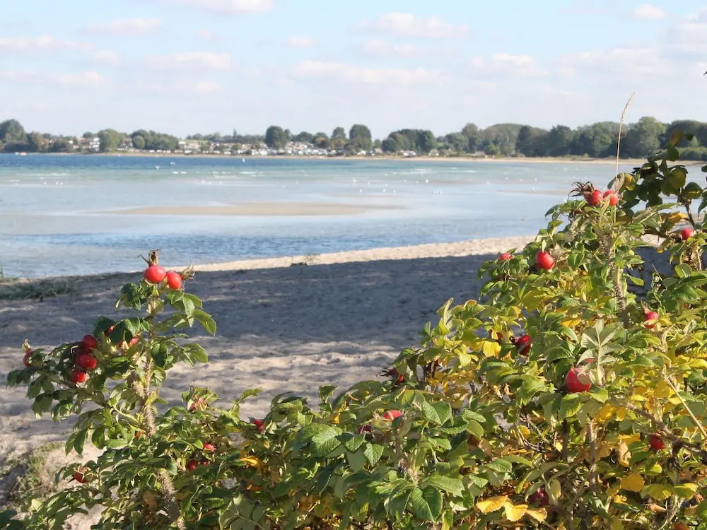 Radiant Apartment in Wismar near Baltic Sea Beach