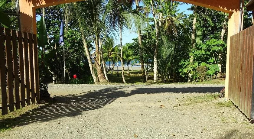 Casa Caribbean Coconut