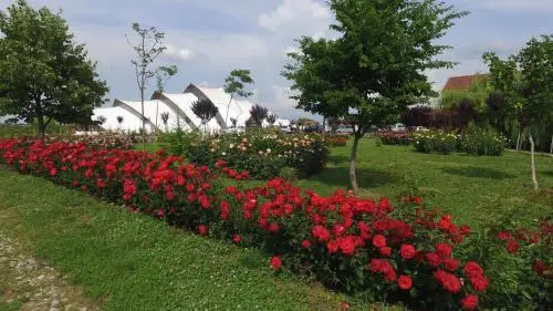 Hanul Moara cu Noroc