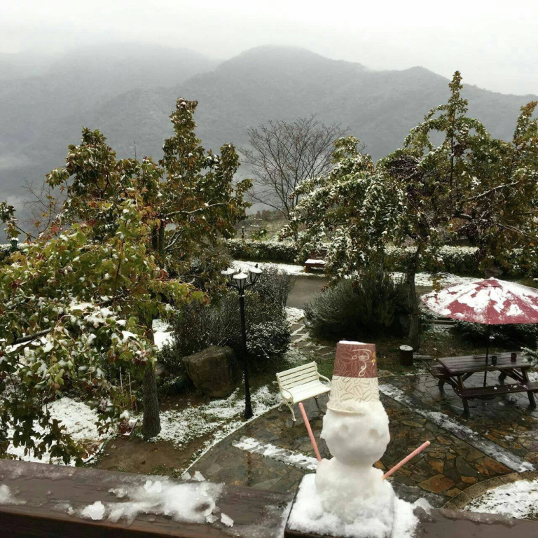 Yosemite Park B&B