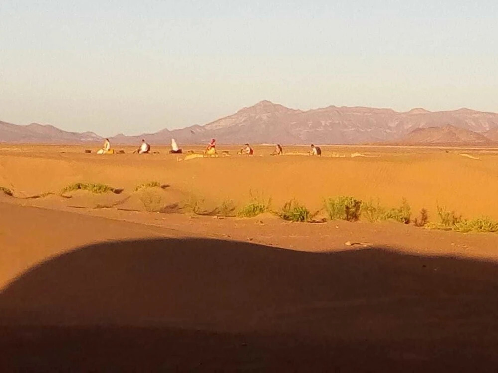 Bivouac Nature & Freedom