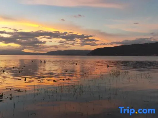 Xinlai・Erhai View | Shine Seaview Sunrise Resort & Guesthouse (Erhai Caicun Wharf Branch)