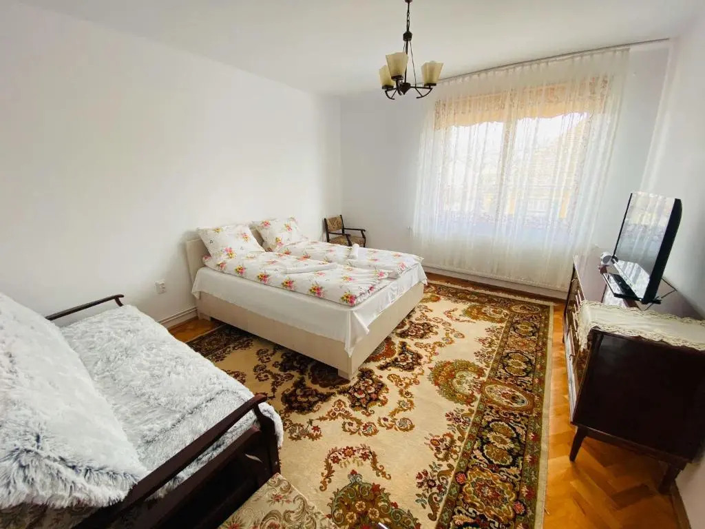 Andrei's house