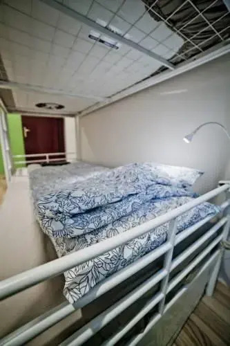 Tapir Hostel