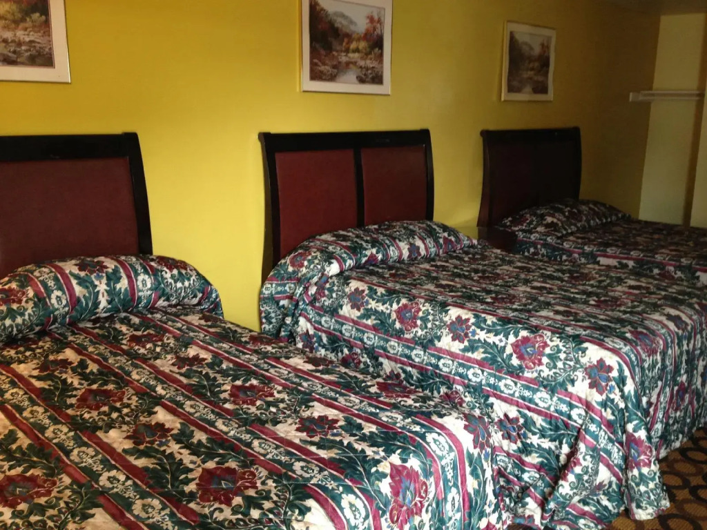 Flamingo Inn
