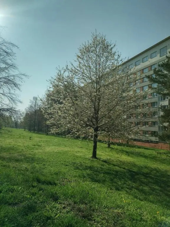 Flat Lesná