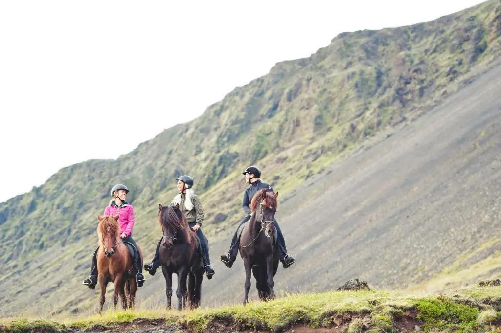 Akurgerði Guesthouse 2 - Country Life Style