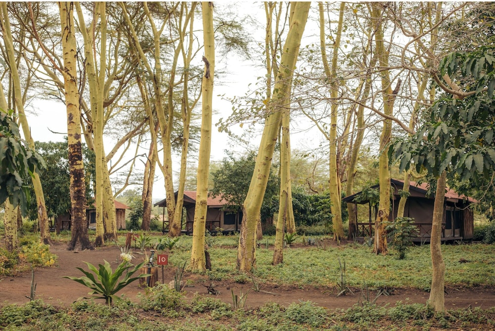 Migunga Tented Camp