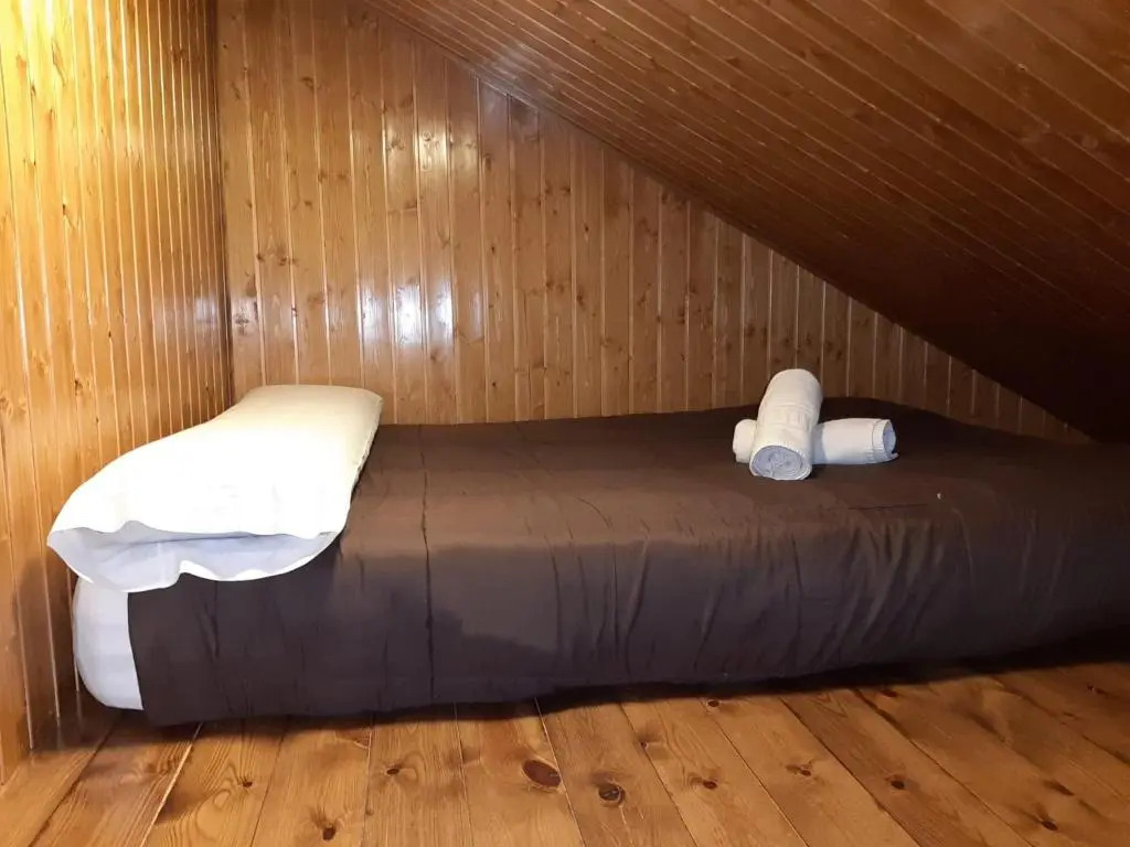 Apartamentos Domus