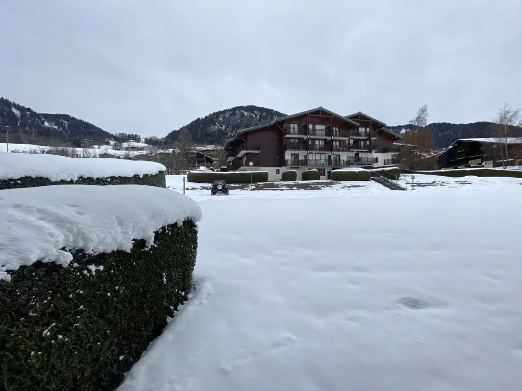 Appartement Praz-sur-Arly, 1 pièce, 4 personnes - FR-1-603-14