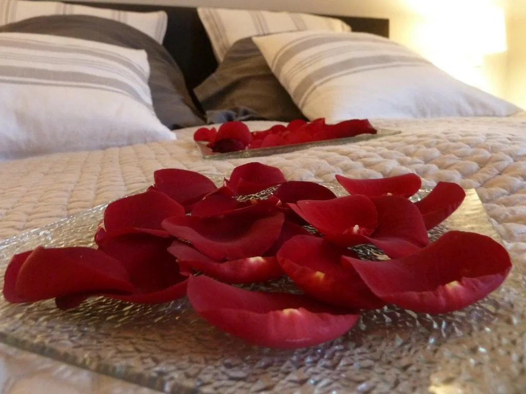 La Couette de lOurs