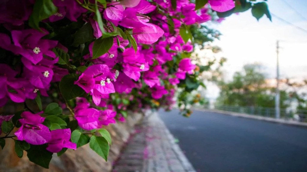 Tien An Hotel Vung Tau