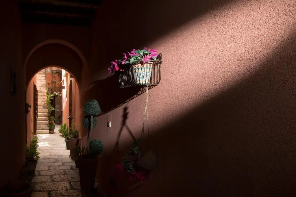 The Flowery Courtyard Srl No12
