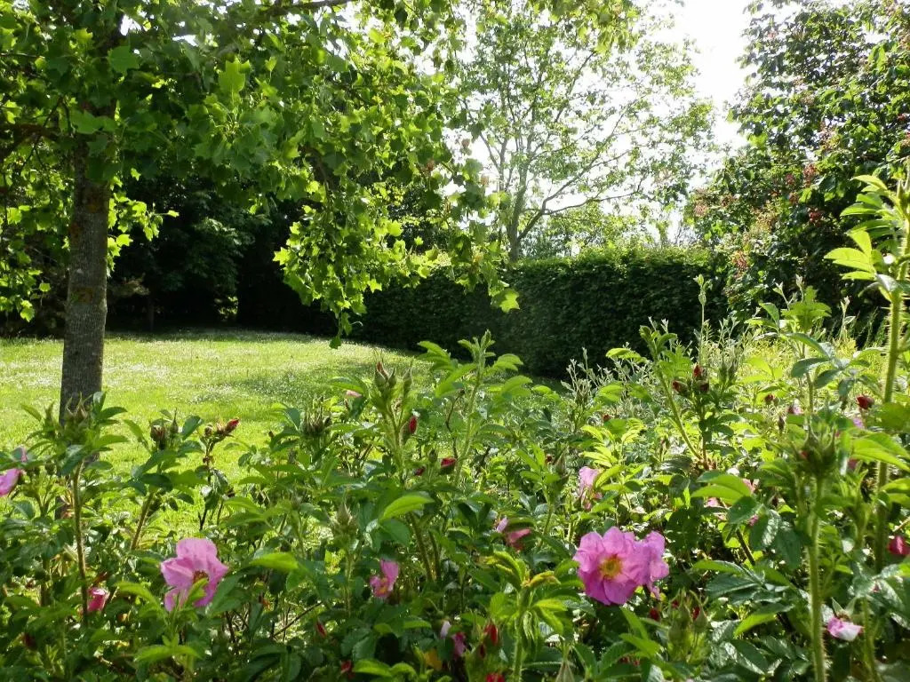 Domaine De Meigne