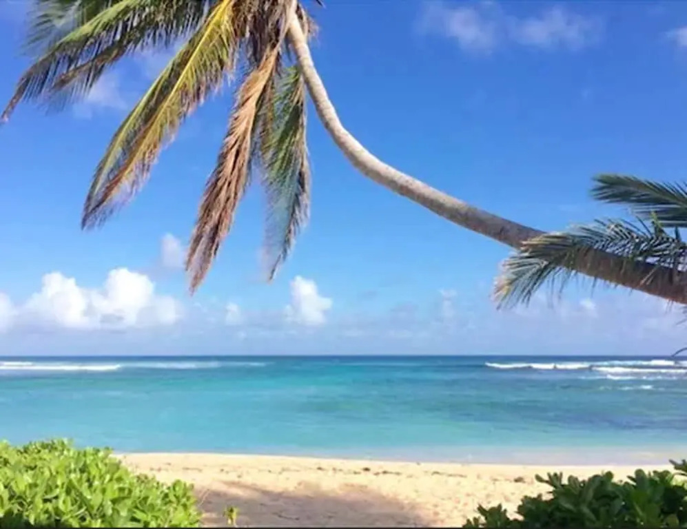 Palms Resort and Beach