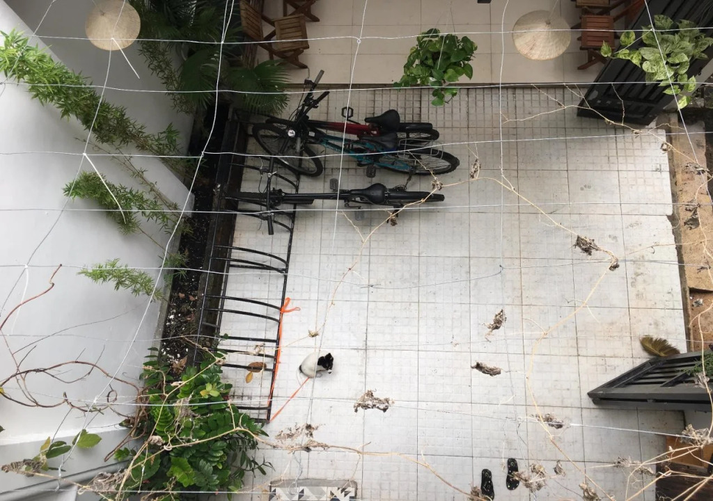 CuCu Hostel