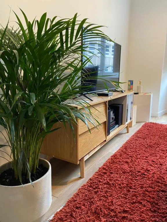 La Palmeraie - Appartement classé 4 étoiles - Hyper centre ville