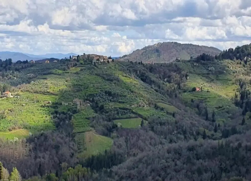Tranquil Chianti Escape for 4