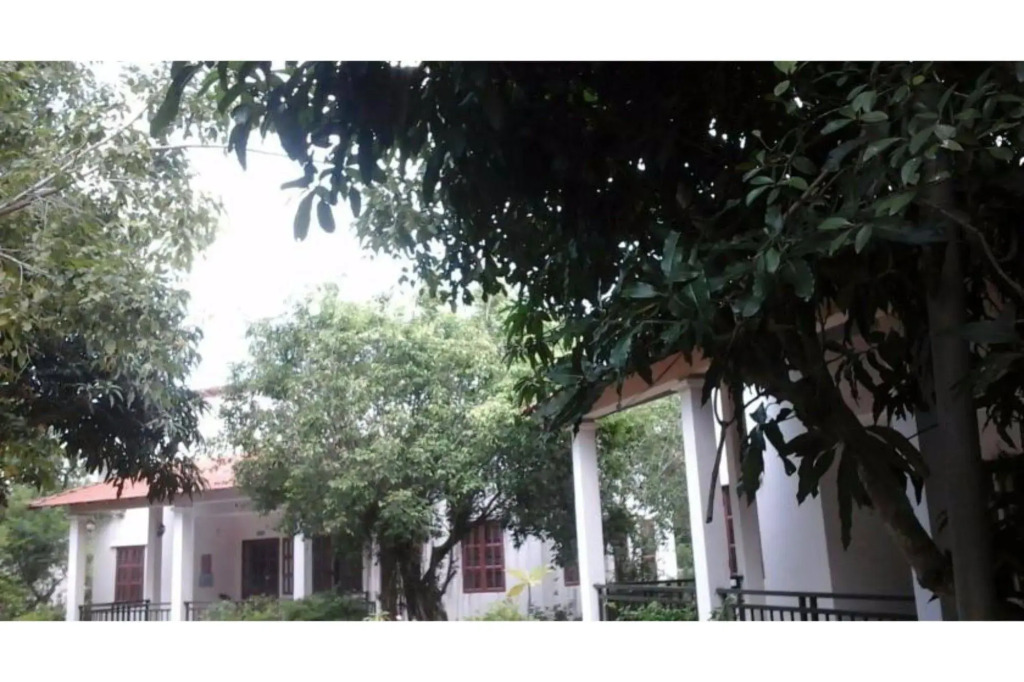 Long Chau Resort