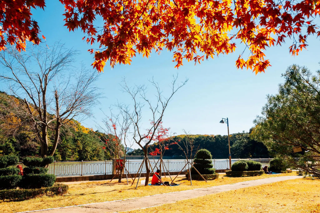 The Lazzi Hotel Dongnae