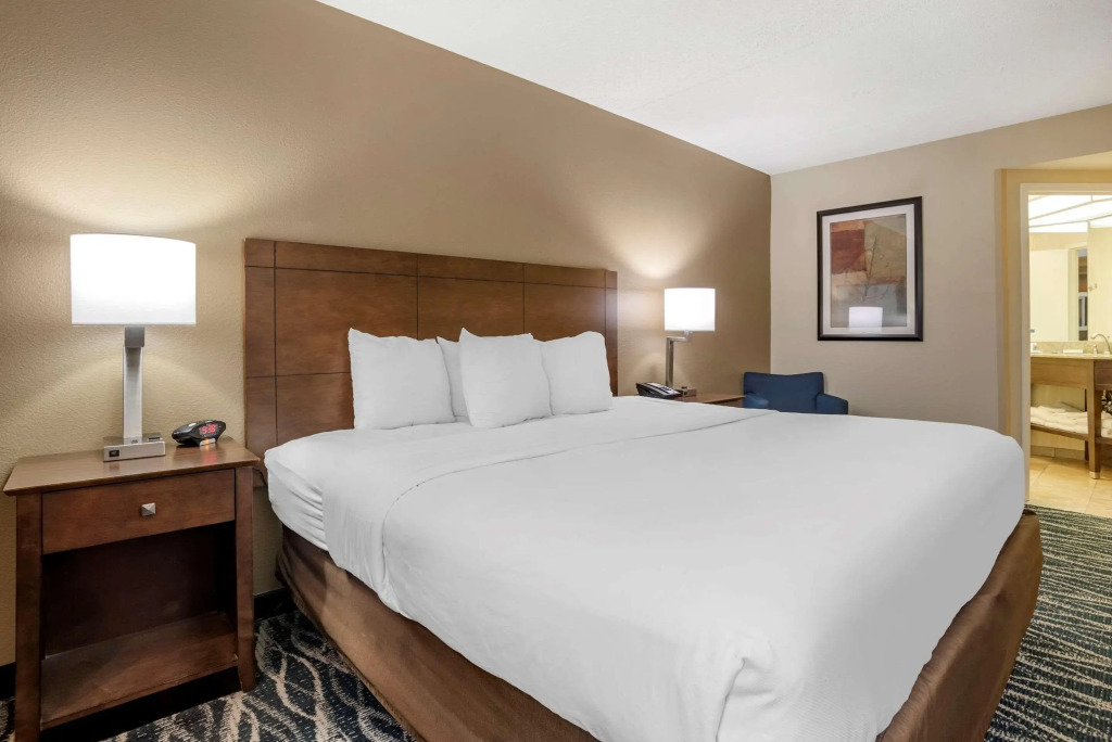 Comfort Inn & Suites Newark - Wilmington