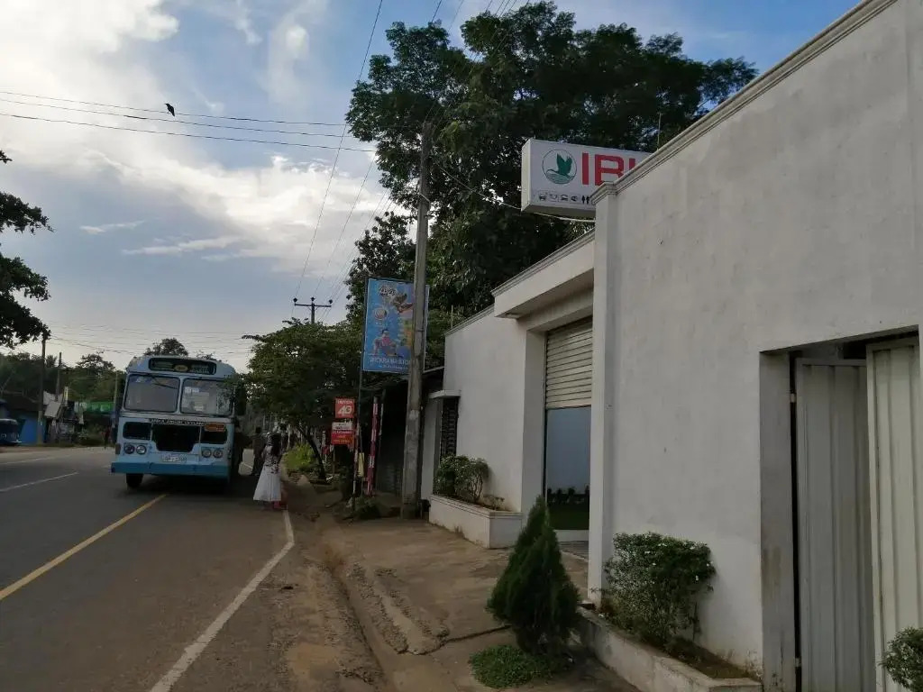Ibis