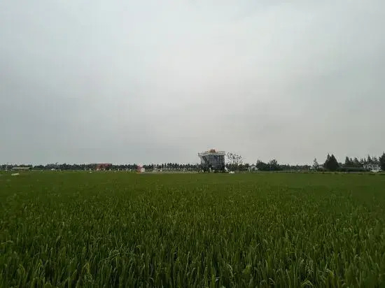 Vankoo Magic Yard