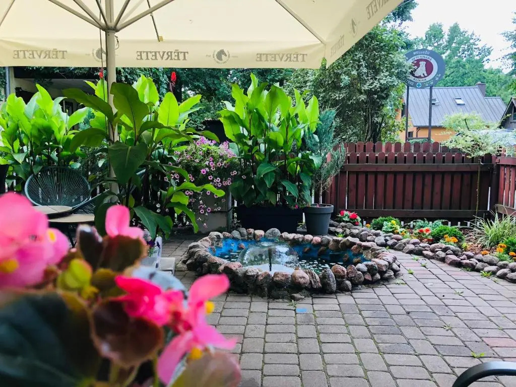 Alba Hotel