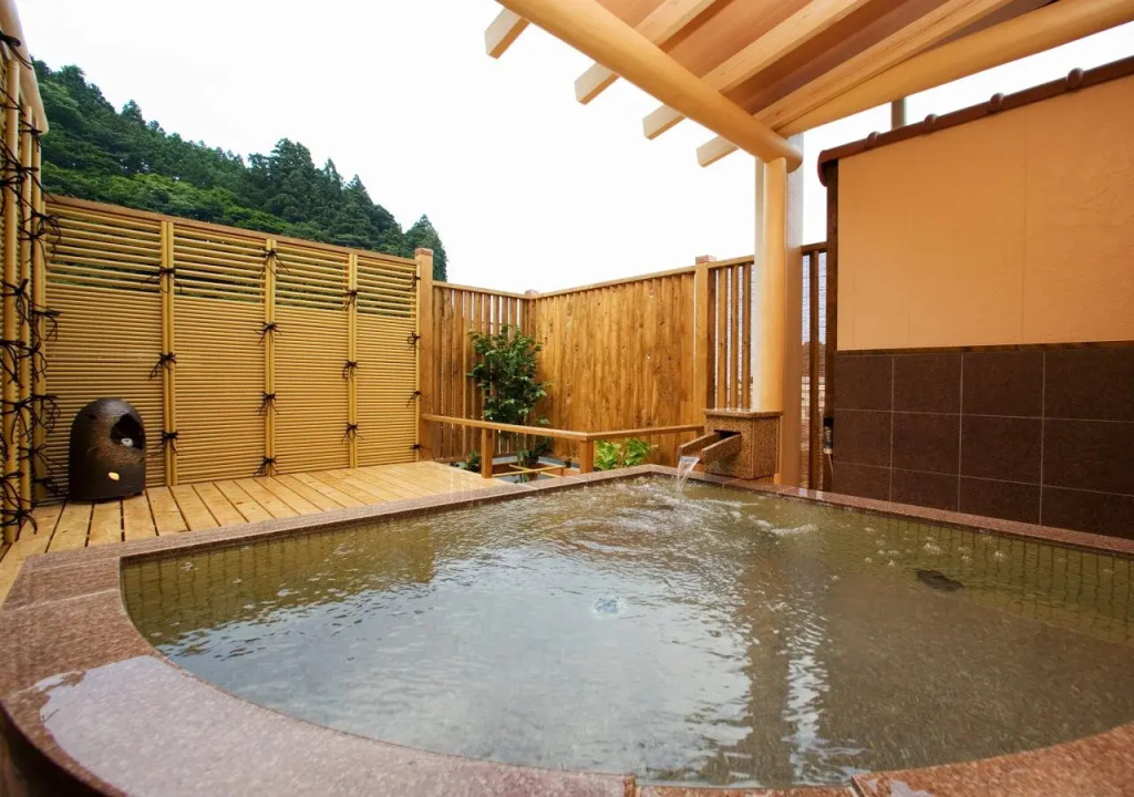 Ryokan New Ougiya