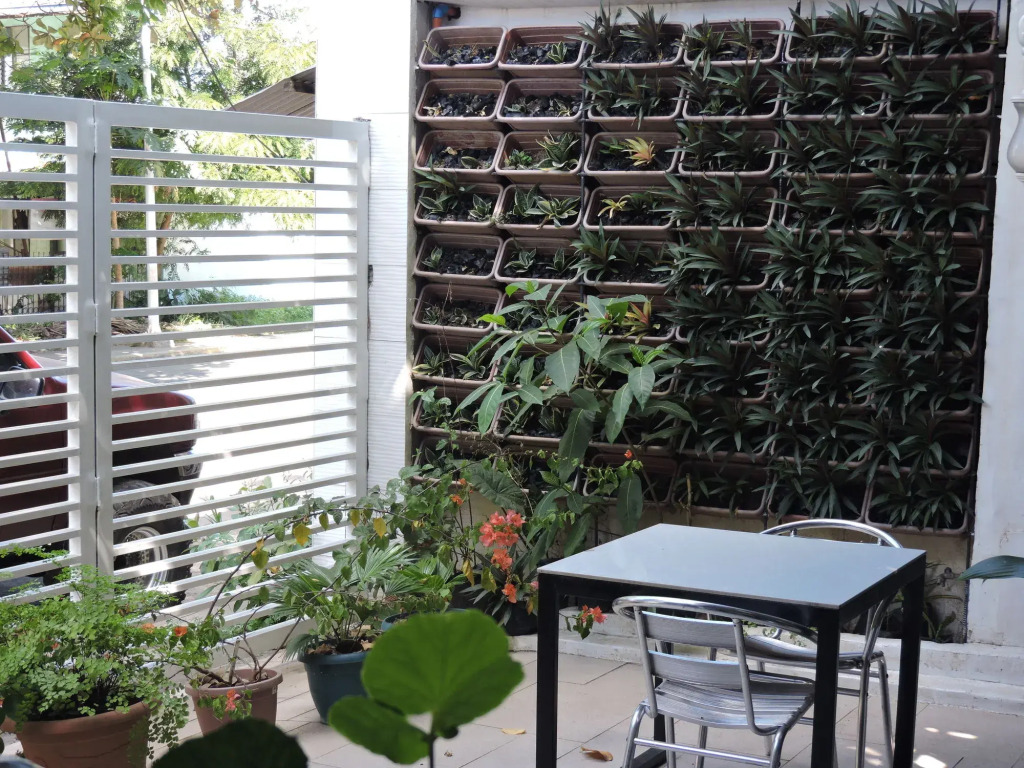 Orange Mangrove Pension House by SMS Hospitality