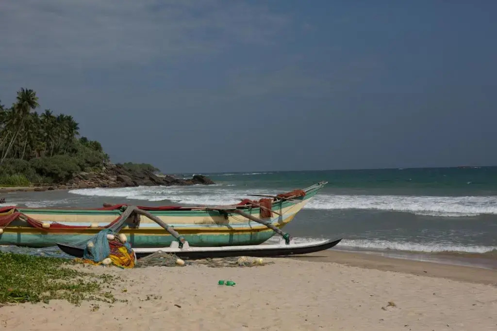 The Teak House