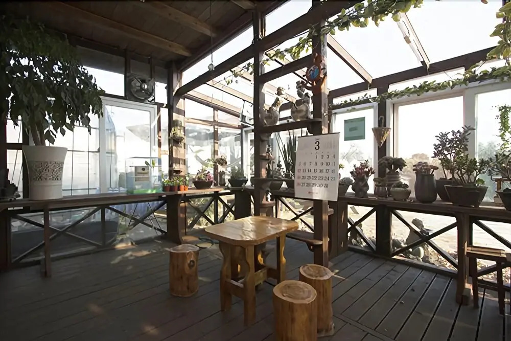 Jeju Tteul Anae Pension