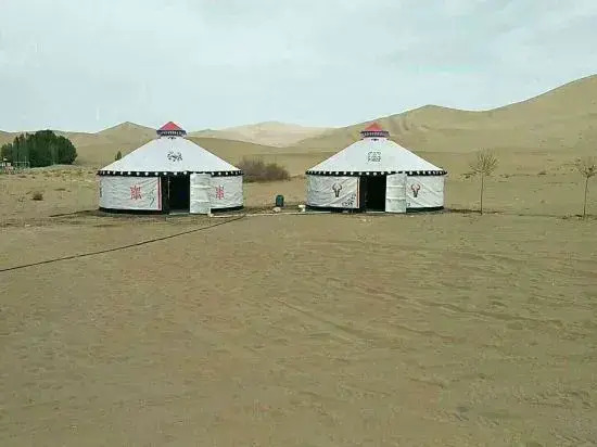 Flower House Girl Desert Camping Base