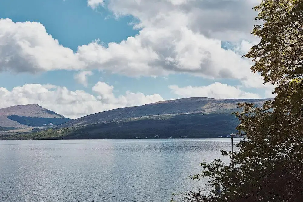 Brambles of Inveraray