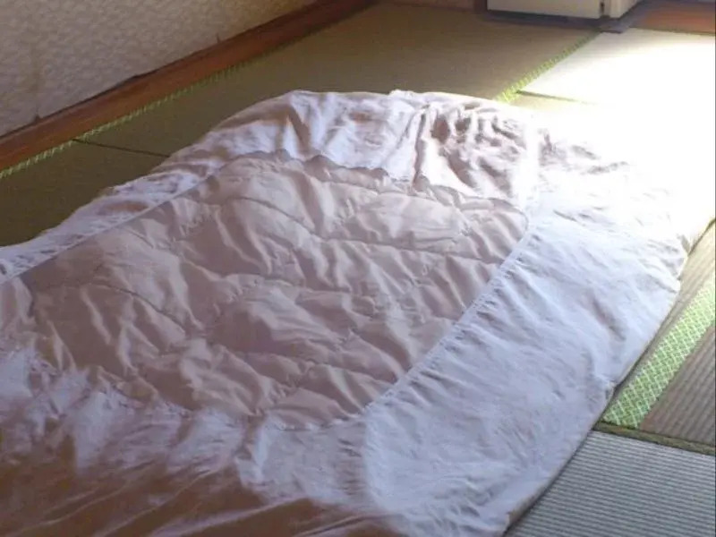 Hotel Sanyuso