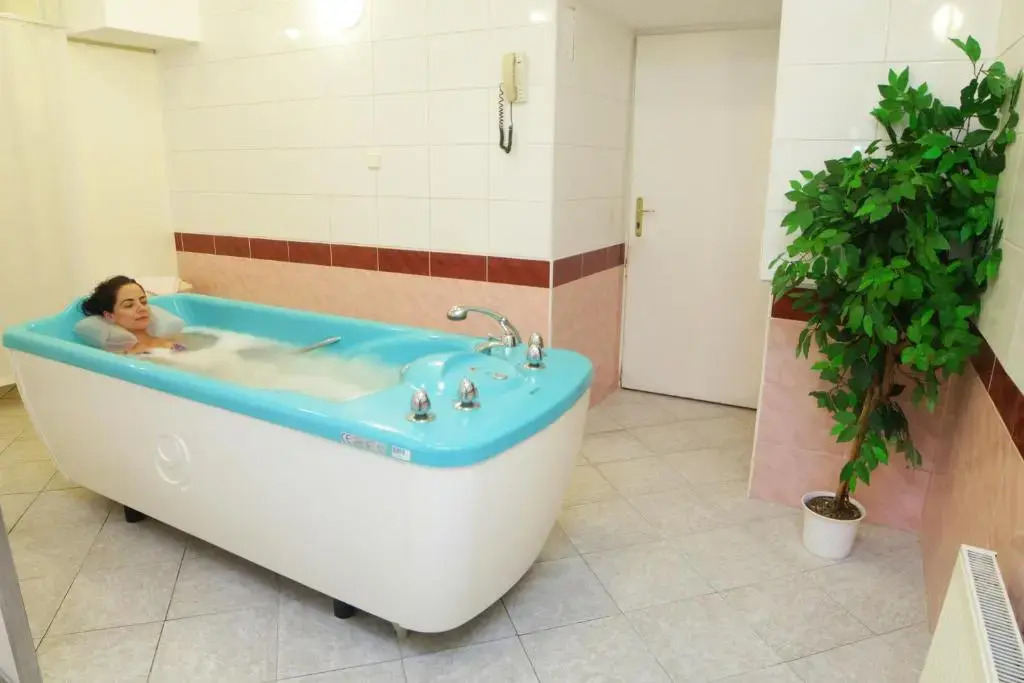 Hotel Pavlov