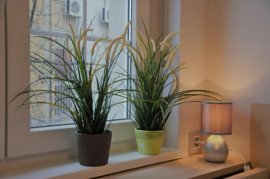 Spacious 2-bedroom apartment with luxury feel
